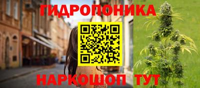 гашик Ликино-Дулёво