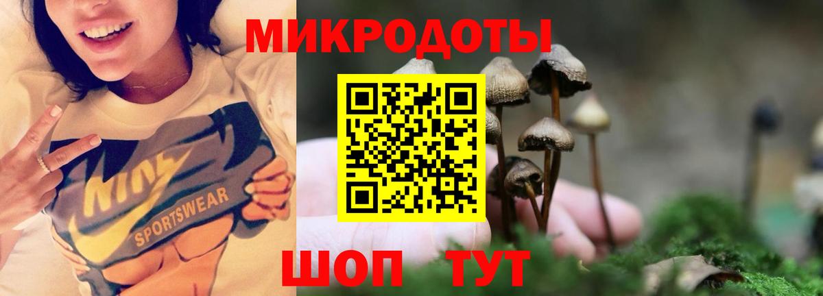 Галлюциногенные грибы GOLDEN TEACHER  Вход с VPN  Гатчина 