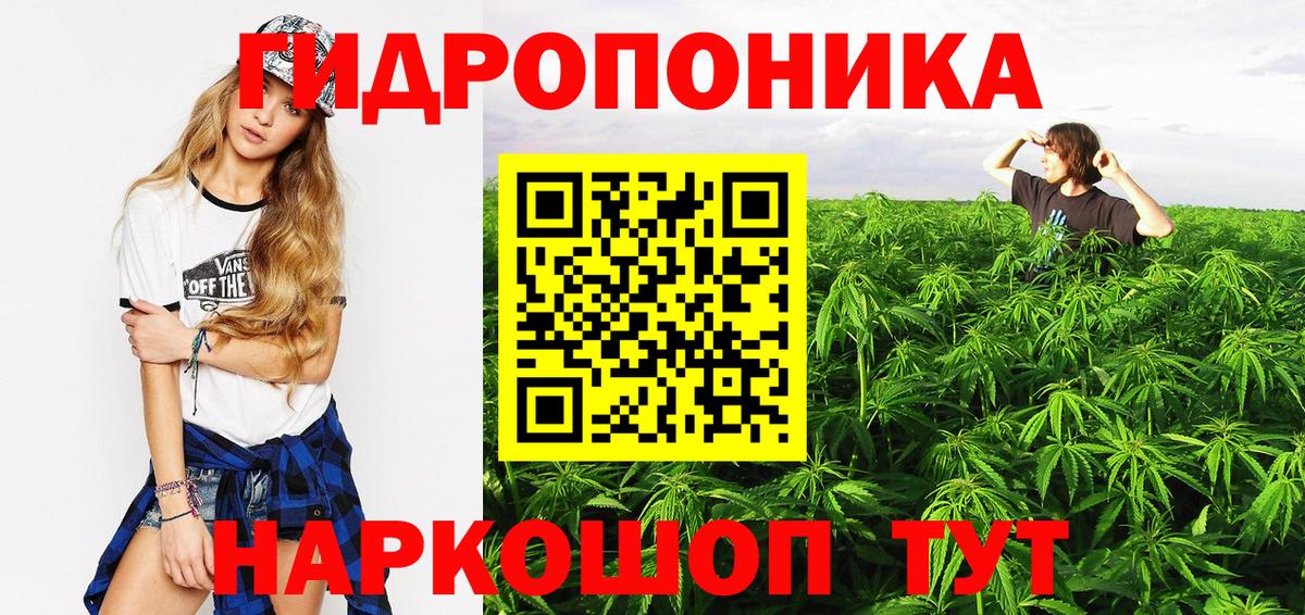 Каннабис White Widow  МАРИХУАНА Amnesia  Конопля OG Kush  Вход с VPN  Гатчина 